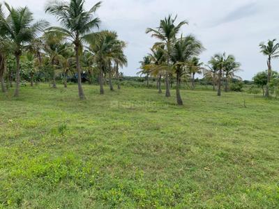 Project Image of 1200.0 - 2352.0 Sq.ft Residential Plot Plot for buy in Sri Arunachaleswarar Nagar
