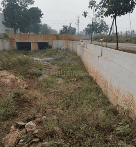 Project Images
