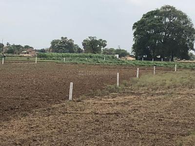 Project Image of 1199.96 - 2400.03 Sq.ft Residential Plot Plot for buy in Lavanya Sundar City