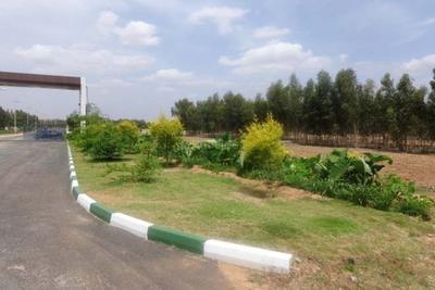 Project Image of 1556.0 - 4451.0 Sq.ft Residential Plot Plot for buy in Divya Sree Nandi Belle Vue