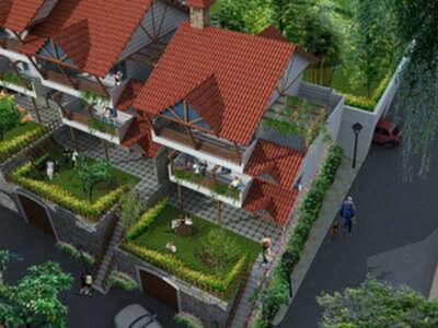 Project Images