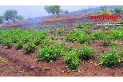 Project Image of 5445.0 - 43560.0 Sq.ft Residential Plot Plot for buy in Sampangi The Treasure Valley