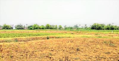 Project Image of 799.97 - 1199.96 Sq.ft Residential Plot Plot for buy in Goal City