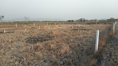 Urban Jui Elevation 1