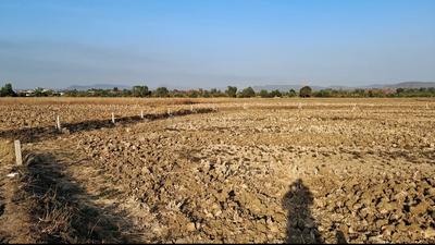 Gallery Cover Pic of AJ LAND IN VINDHANE THIRD MAHA MUMBAI