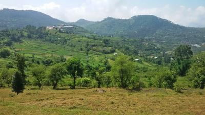 Project Image of 300.0 - 425.0 Sq.ft 1 R Villa for buy in Golden Valley (Bhimtal)