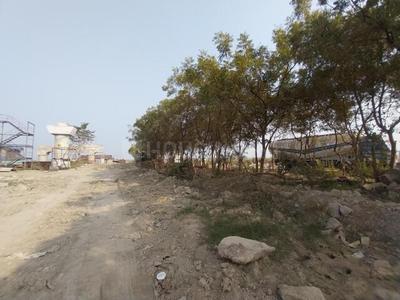 Project Images