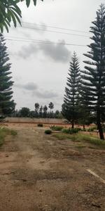 Project Image of 1200.0 - 2400.0 Sq.ft Residential Plot Plot for buy in Samvith Sri Sai Layout
