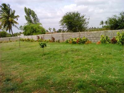 Project Image of 1500 Sq.ft Residential Plot / Land for sale in Hoskote for Rs. 4500000