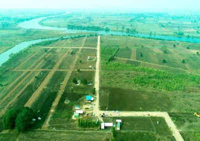 Project Image of 1350.0 - 3600.0 Sq.ft Residential Plot Plot for buy in Druvitha Rivers Edge Nature Greens