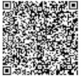 Swastik Emerald Horizons QR Code 1