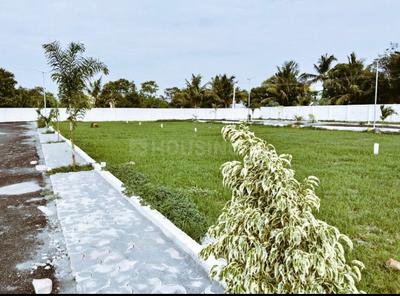 Project Image of 600.0 - 1540.0 Sq.ft Residential Plot Plot for buy in SS Thendral Enclave