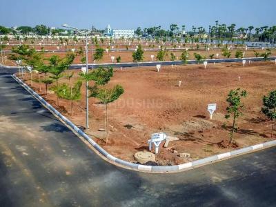 Project Image of 1421.05 - 7034.65 Sq.ft Residential Plot Plot for buy in Ssl Biophilic Village