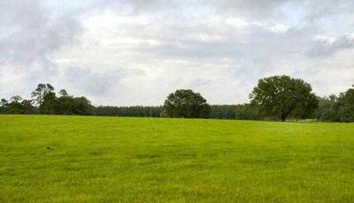 Innovative Green City Amenities 1