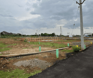 Project Images
