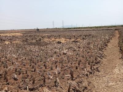 Propzone Residential Plots in Panvel Navi Mumbai Plot 1