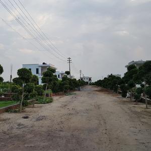 Project Image of 891.0 - 2228.0 Sq.ft Residential Plot Plot for buy in Mansha Royal City