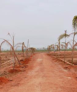 Project Image of 1500 Sq.ft Residential Plot / Land for sale in Patharagadia for Rs. 2550000