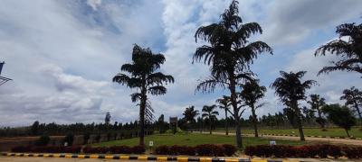 Project Image of 0.0 - 2400.0 Sq.ft Residential Plot Plot for buy in Value Port