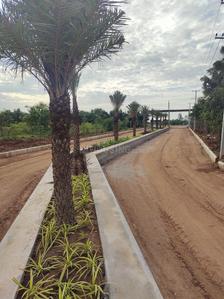 Project Image of 1440.0 - 2700.0 Sq.ft Residential Plot Plot for buy in Sai Brundavan