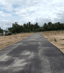 Project Images