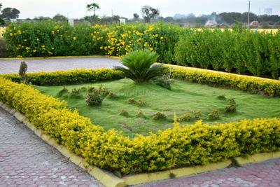 Gajanan Nagri Landscape Garden and Tree Planting 1