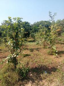 Project Image of 0.0 - 1800.0 Sq.ft Residential Plot Plot for buy in Charan Sandal Gardens
