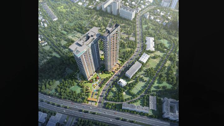 Apex D Rio - Image 3