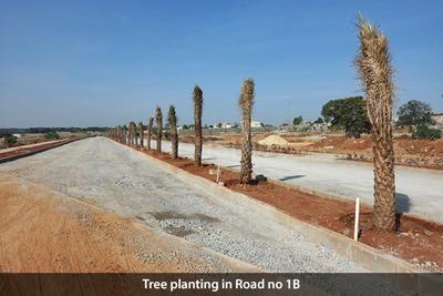 Project Image of 600.0 - 5026.53 Sq.ft Residential Plot Plot for buy in Sattva Green Groves