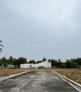 Project Images