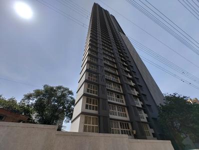 Project Image of 368.34 - 374.15 Sq.ft 1 BHK Apartment for buy in Ruparel Nova