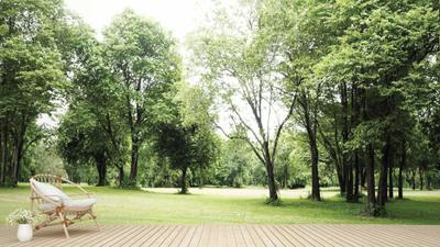 Project Image of 1500.0 - 3000.0 Sq.ft Residential Plot Plot for buy in Wallfort Mangalam City