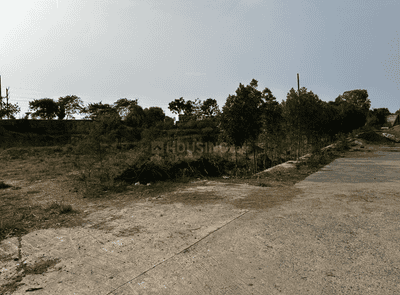 Project Images