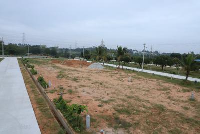 Project Image of 0.0 - 1200.18 Sq.ft Residential Plot Plot for buy in Royale Properties Bethel