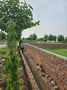 Project Image of 900.0 - 1350.0 Sq.ft Residential Plot Plot for buy in Braj Shree Ji Cottage And Farms