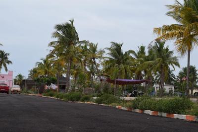 Project Image of 802.0 - 1459.0 Sq.ft Residential Plot Plot for buy in Staar Vit Avenue