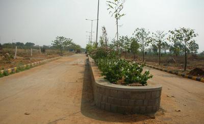 Project Images