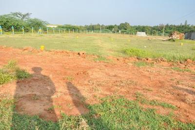 Project Image of 500.0 - 1441.0 Sq.ft Residential Plot Plot for buy in Vetri Grace Nagar Phase 2