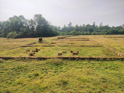 Project Image of 1200.0 - 1500.0 Sq.ft Residential Plot Plot for buy in Build Basundhra Village