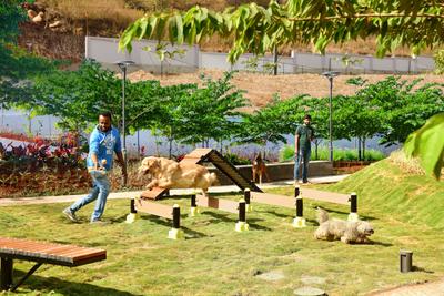 Project Image of 2500 Sq.ft Residential Plot / Land for sale in Bavdhan for Rs. 41000000