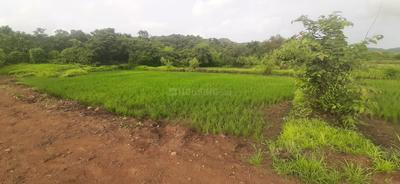 Farm House Plots Sale In Roha Plot 3