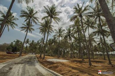 Project Image of 1400.0 - 2693.0 Sq.ft Residential Plot Plot for buy in Golden Ira Plots