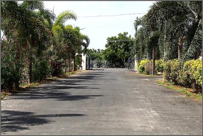 Project Image of 730.0 - 2250.0 Sq.ft Residential Plot Plot for buy in Greenfield Nachatra Garden
