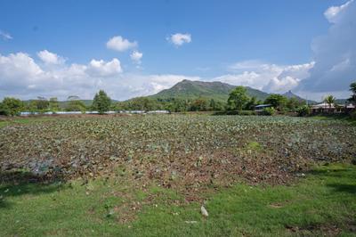 Bhoomi Plots Chirle Plot 1