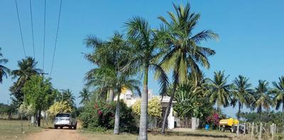 Project Image of 600.0 - 2400.0 Sq.ft Residential Plot Plot for buy in Miraacle Premium Villa Plots GNT Road
