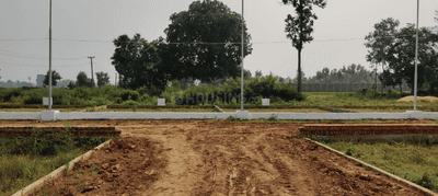 Project Images