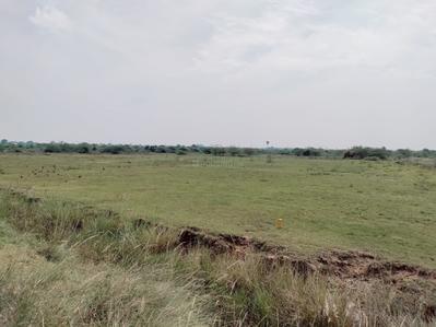 Project Image of 600.0 - 2400.0 Sq.ft Residential Plot Plot for buy in Madras Joythibasu Nagar