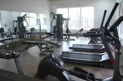 Project Image of 1664.0 - 1806.0 Sq.ft 3 BHK Apartment for buy in Ansal Tulip And Carnation