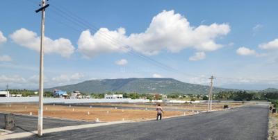 Project Images