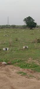 Project Image of 600.0 - 1600.0 Sq.ft Residential Plot Plot for buy in Muruga Sri Raghavendra Nagar